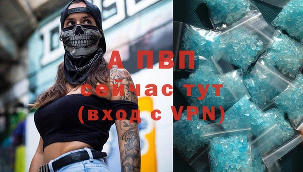 сатива Покровск
