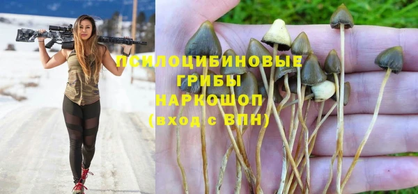 соль ск Абдулино